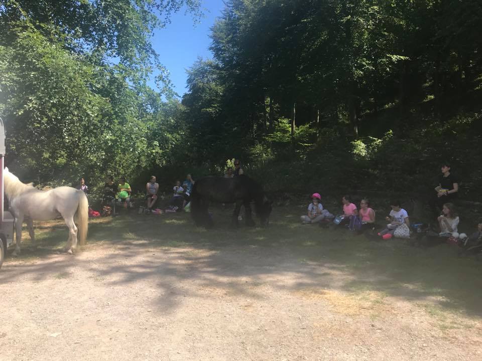 Horse Riding Walk Outs at Peter Ashley Activity Centres Portsmouth