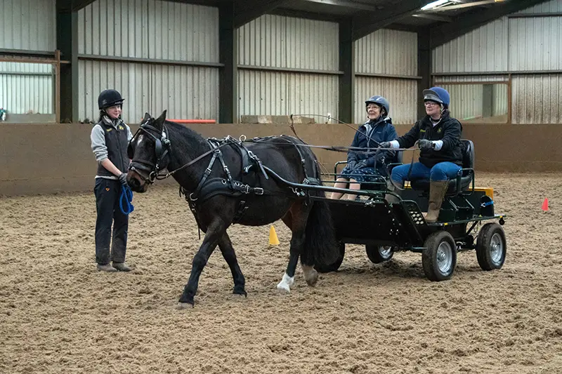 Riding for the Disabled Carriage Driving Image